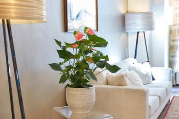 Hotel Wandl  | Vienna | Galerie 3