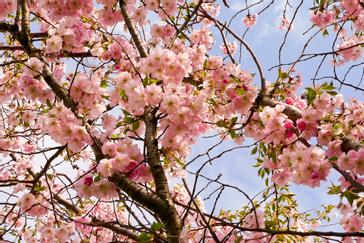 Hotel Wandl  | Vienna | Photo Gallery 2