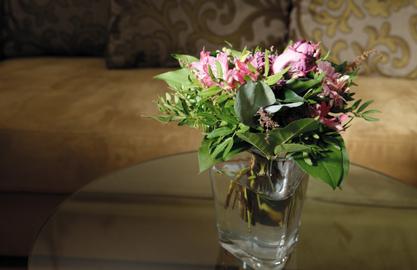 Hotel Wandl  | Vienna | Bestpreisgarantie