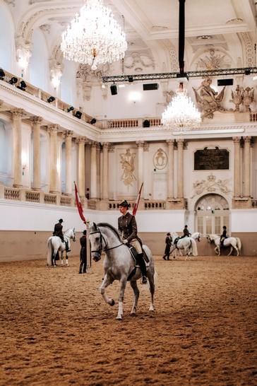 Hotel Wandl  | Vienna | Photo Gallery 20